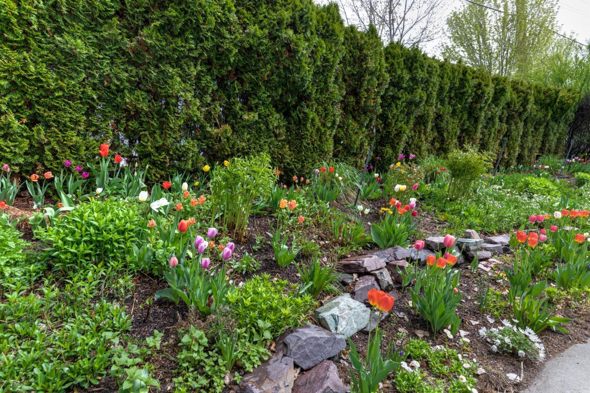 The Gibson Mansion Bed And Breakfast Missoula Exterior photo
